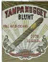 Tampa_Nugget_pak.jpg (6324 bytes)